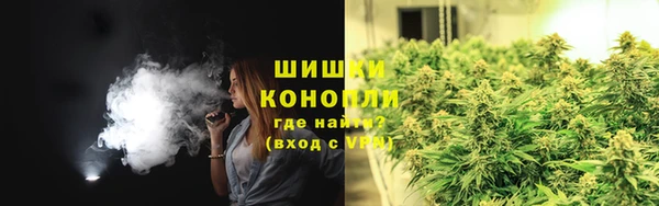 стаф Сатка