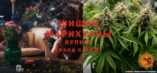 сатива Абинск