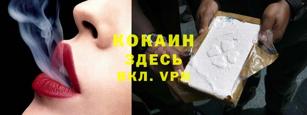 стаф Сатка
