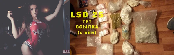 стаф Сатка