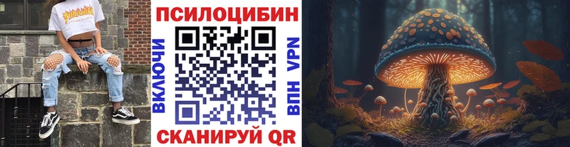 Псилоцибиновые грибы мицелий Галич