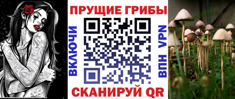 Галлюциногенные грибы MAGIC MUSHROOMS  магазин продажи наркотиков  МЕГА ссылка  Галич 